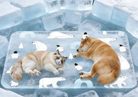 90*60 cm Dog Cooling Mat, 2026 New Summer Pet Mats, Portable Pet Cooling Pad for Travel, Washable Gel Coolings Mat for D