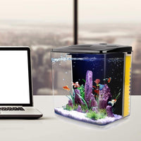 1.2 Gallon Betta Aquarium with LED Light and Filter Pump - BIG FRENCHIES
