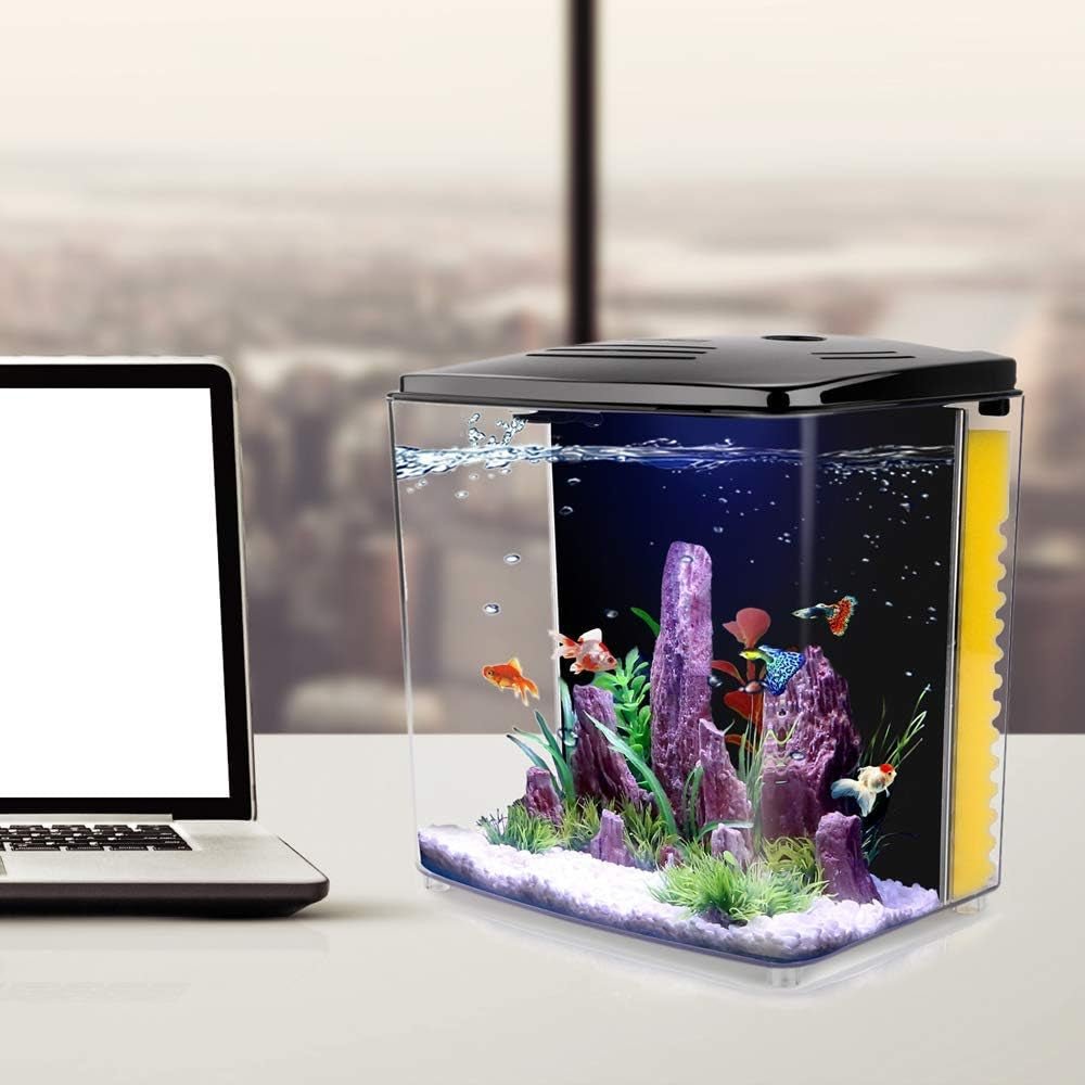 1.2 Gallon Betta Aquarium with LED Light and Filter Pump - BIG FRENCHIES