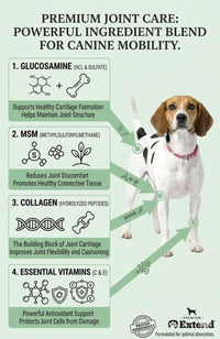 Dog Joint Supplement Powder Glucosamine Chondroitin MSM Collagen 30Ct