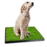 25"×20" Dog Toilet Indoor Puppy Training Pad, Dog Potty Pet Training Grass Mat, Removable Waste Tray for Easier Clean Up