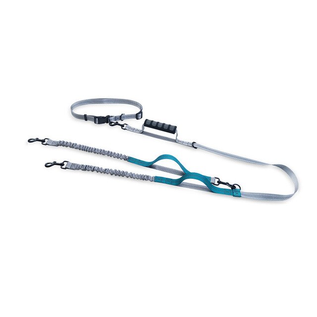 Multifunctional Handsfree Bungee Dog Leash - BIG FRENCHIES