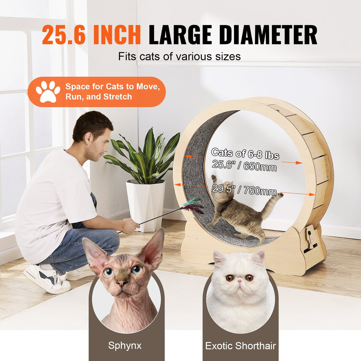 Cat Exercise Wheel Large Cat Treadmill Wheel For Indoor Cats 29.5 Inch