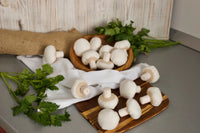 Mushroom felt food, vegetable - BIG FRENCHIES