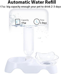 Double Dog Cat Bowls Pets Water And Food Bowl Set 15 Tilted Water And Food Bowl Set With Automatic Waterer Bottle For Small Or Medium Size Dogs Cats