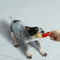 Pet dog toy plush resistant to biting teeth
