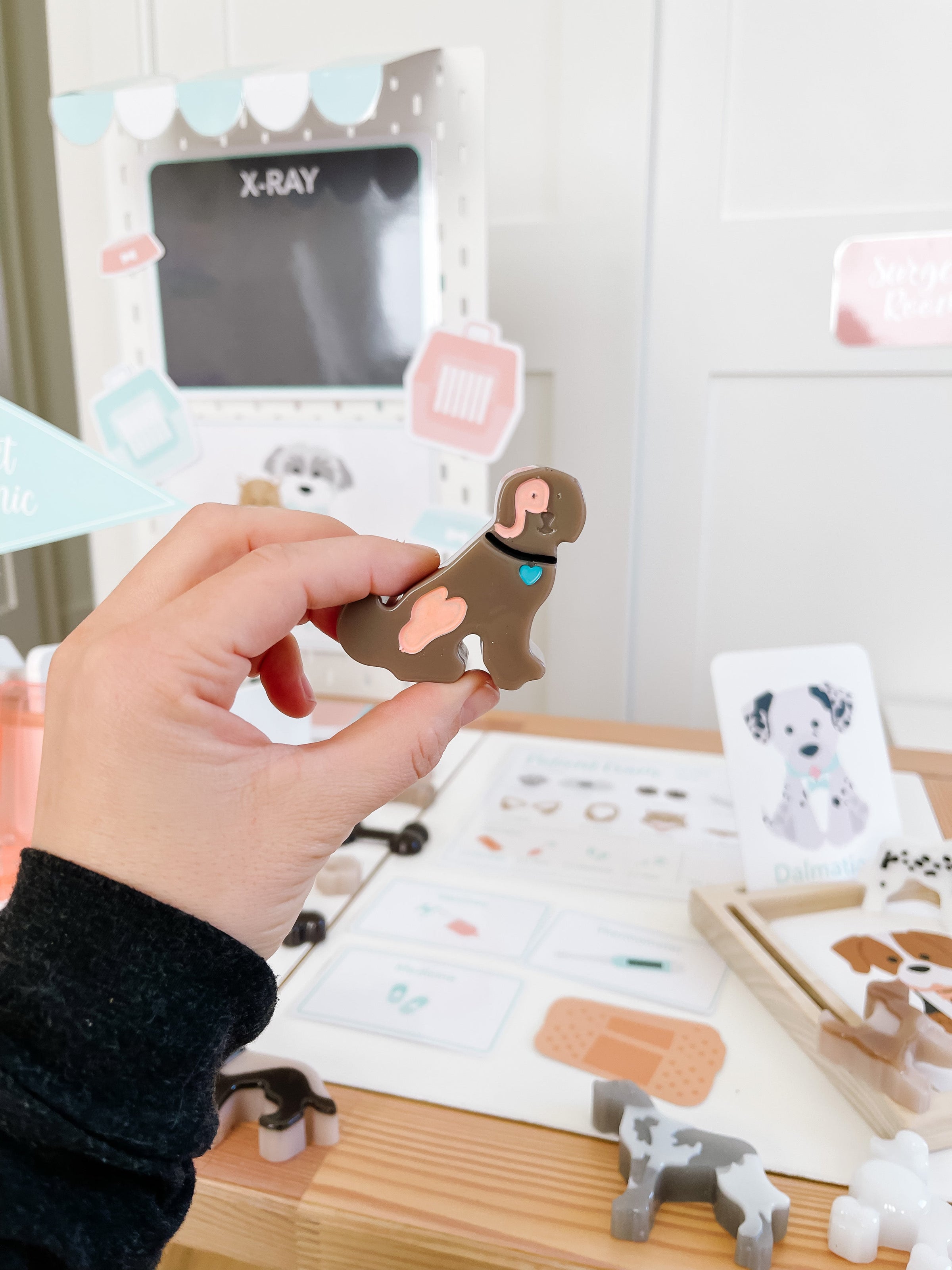 Vet Clinic Dramatic Play