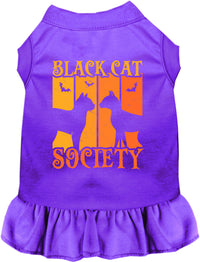 Black Cat Society Pet Dress