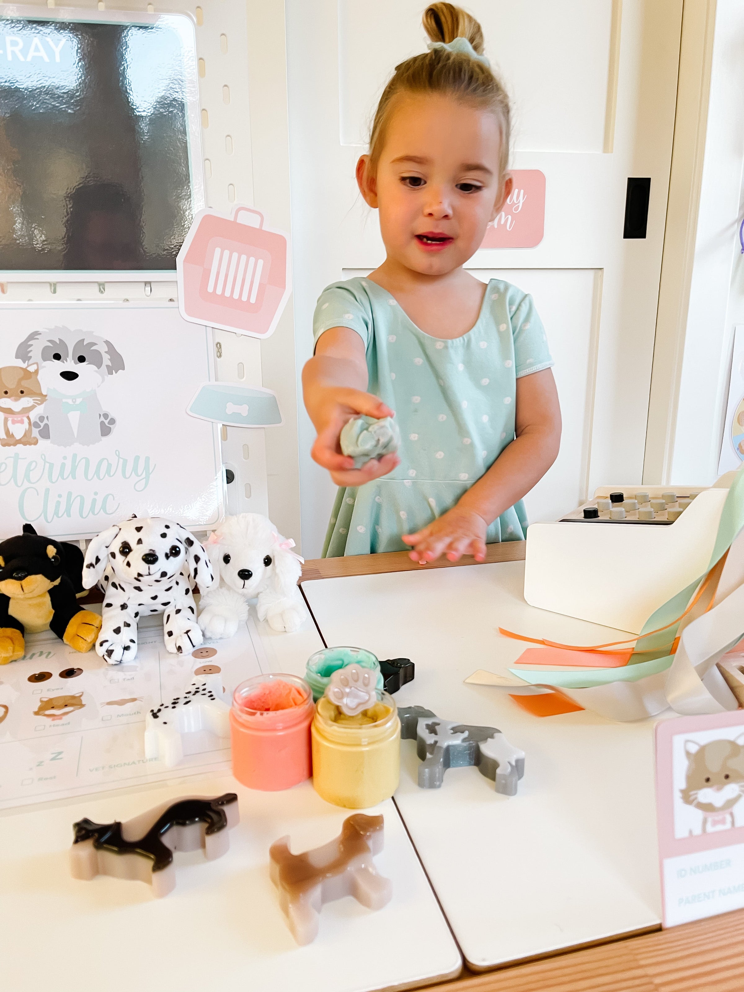 Vet Clinic Dramatic Play