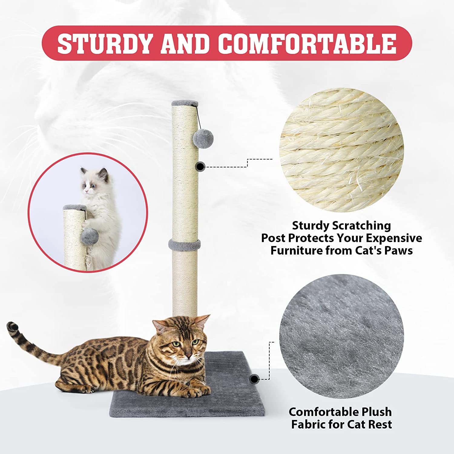 31'' Tall Cat Scratching Post - BIG FRENCHIES