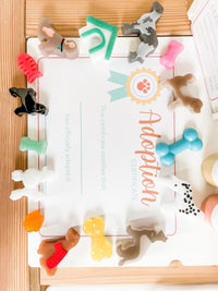 Pet Adoption Clinic Dramatic Play