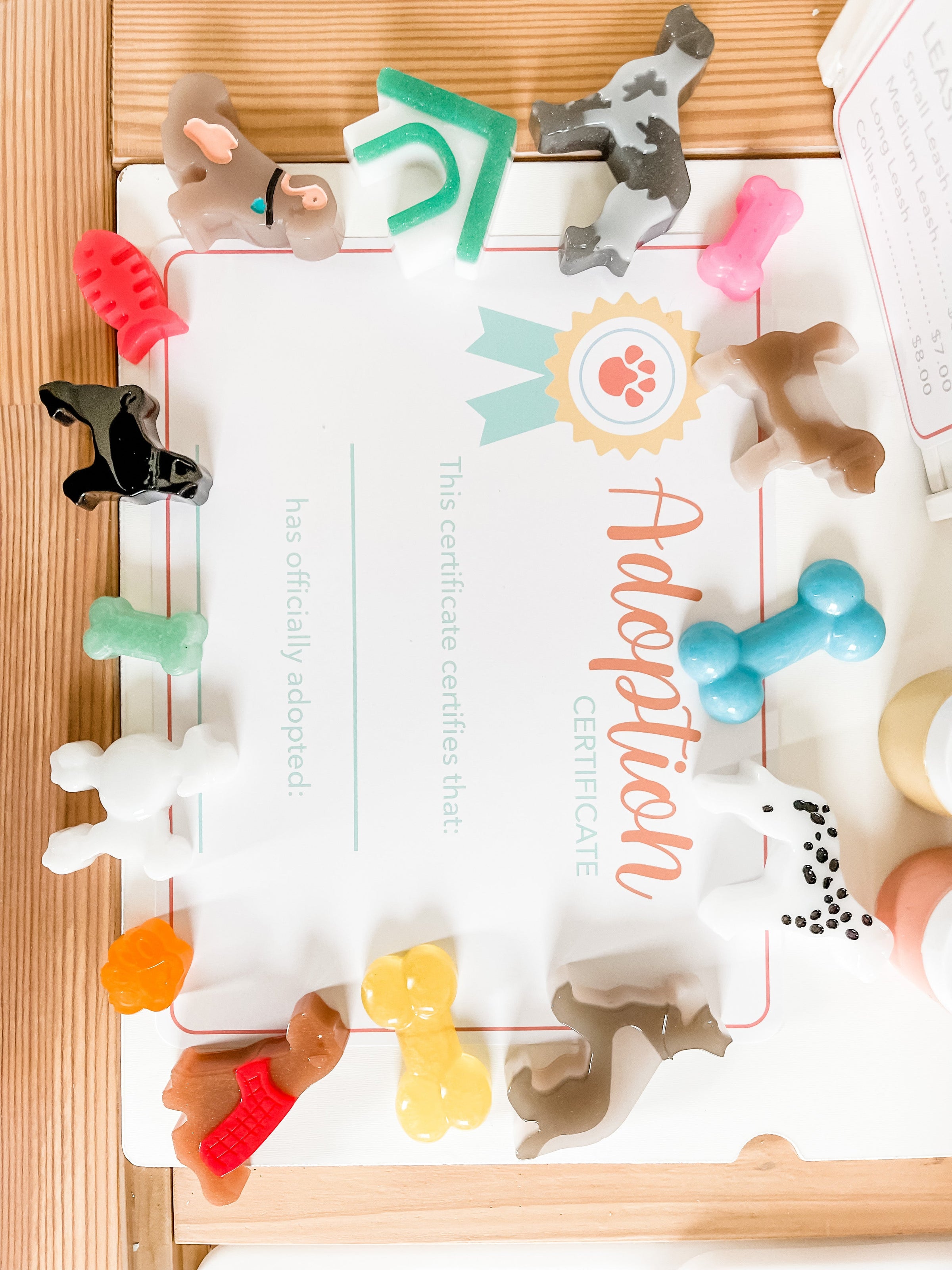 Pet Adoption Clinic Dramatic Play