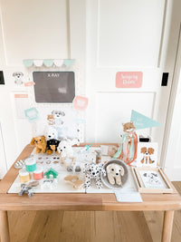 Vet Clinic Dramatic Play