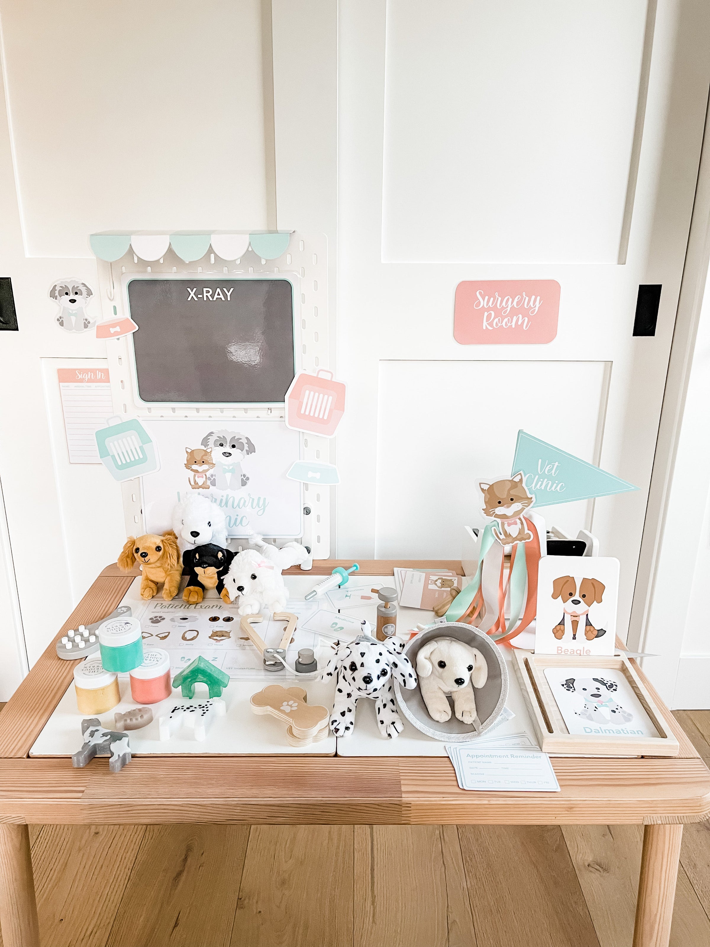 Vet Clinic Dramatic Play