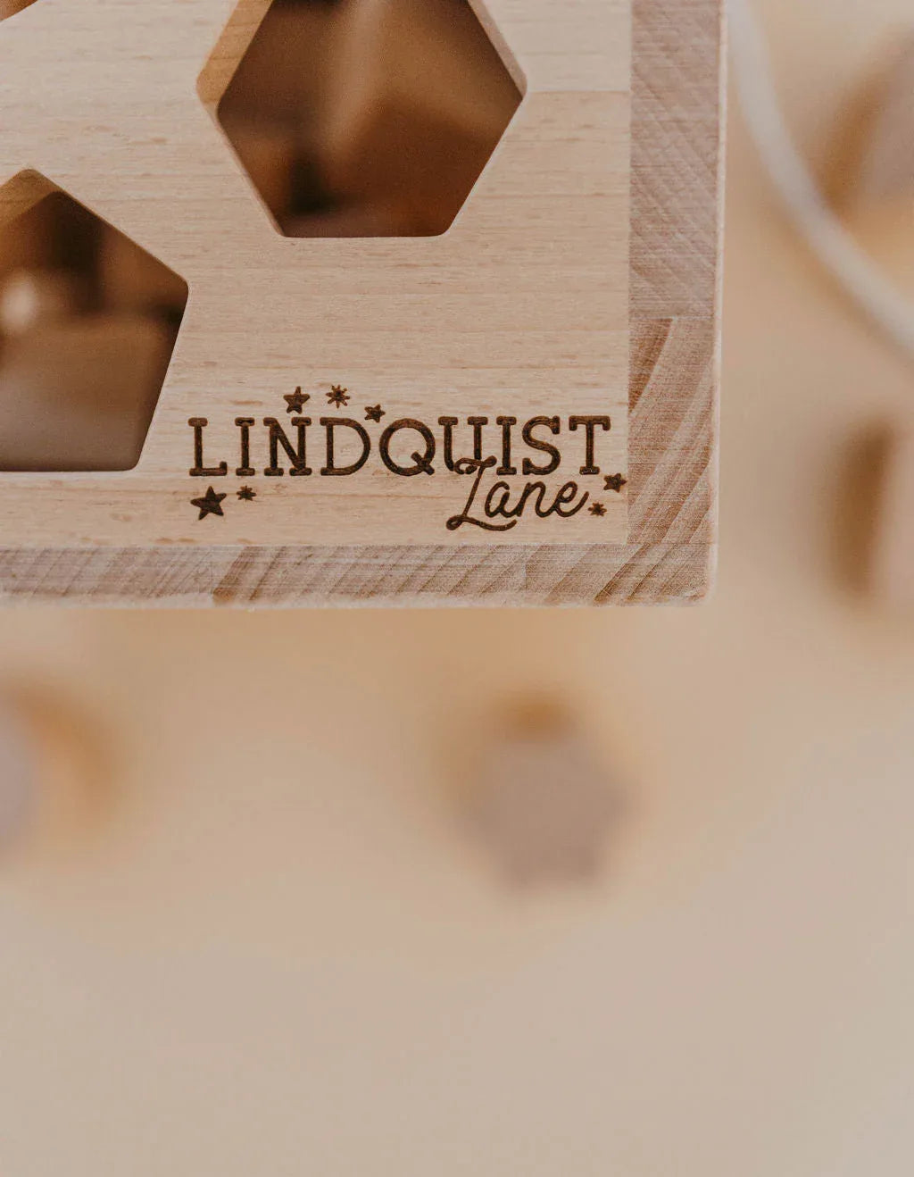 Solid Wood Intelligence Shape Sorting Box - BIG FRENCHIES