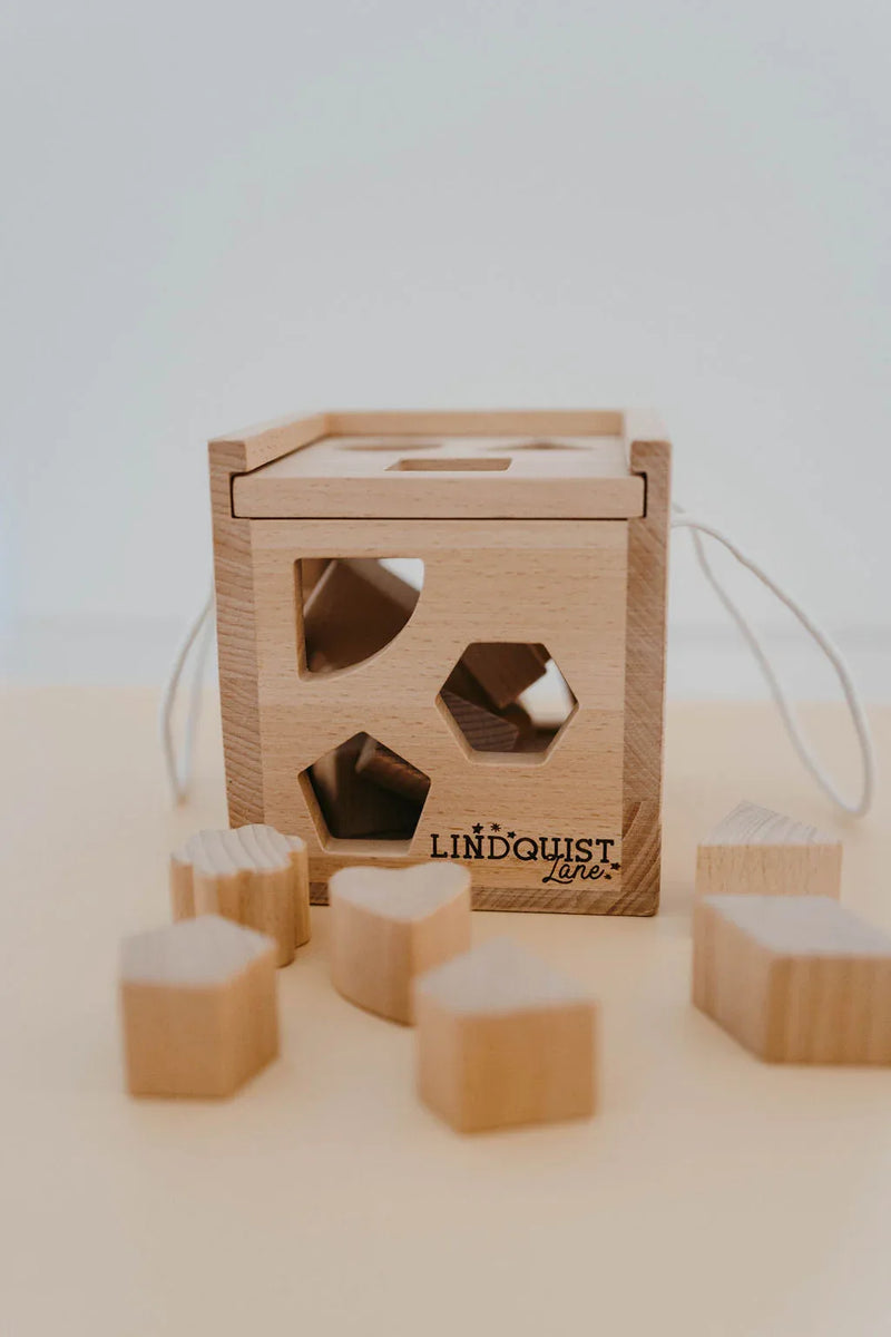Solid Wood Intelligence Shape Sorting Box - BIG FRENCHIES