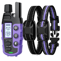Dog Training Collar with Remote and Vibration Modes - BIG FRENCHIES