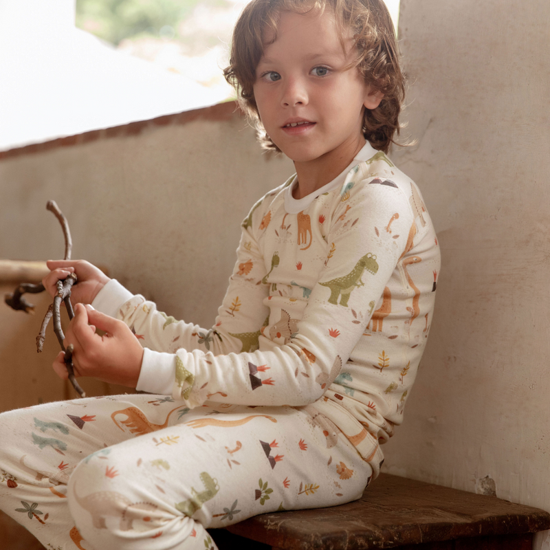 Dinosaur Organic Cotton Pajamas - BIG FRENCHIES