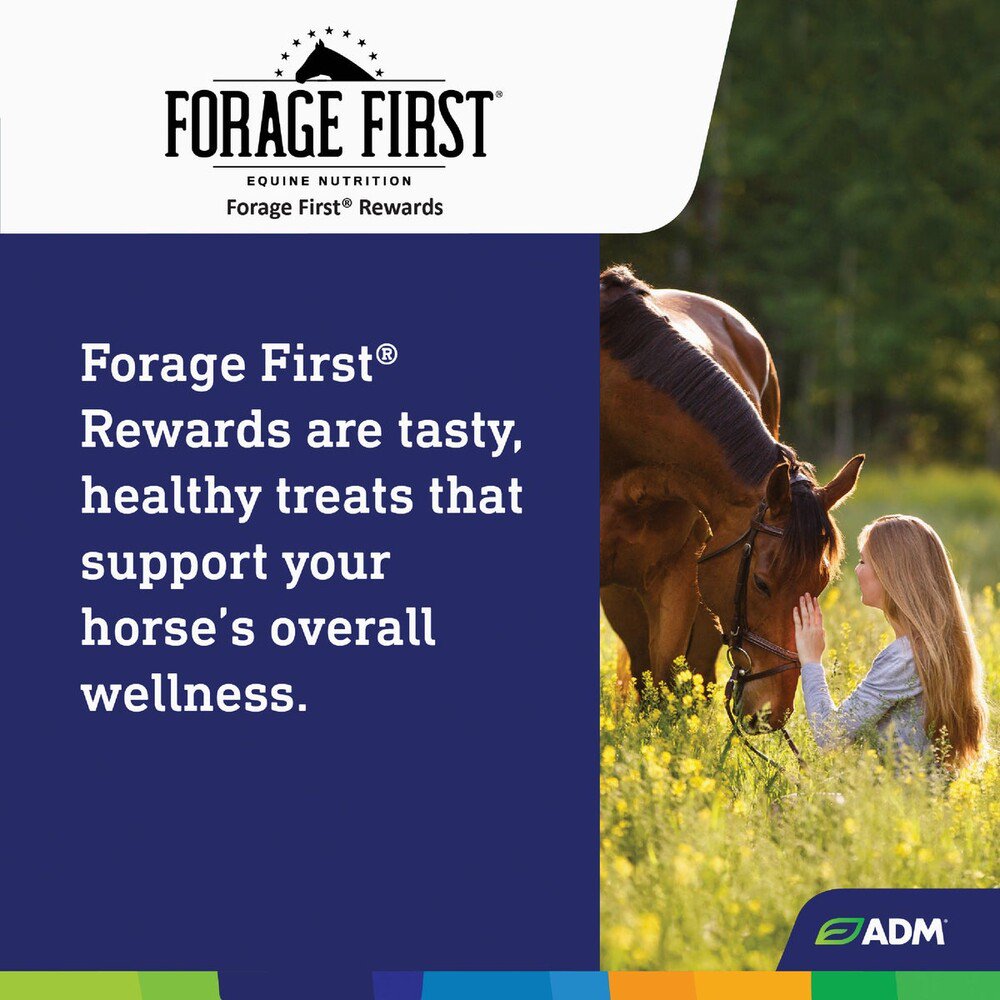 ADM Forage First Horse Rewards Apple Flavored Horse Treat 3lbs.