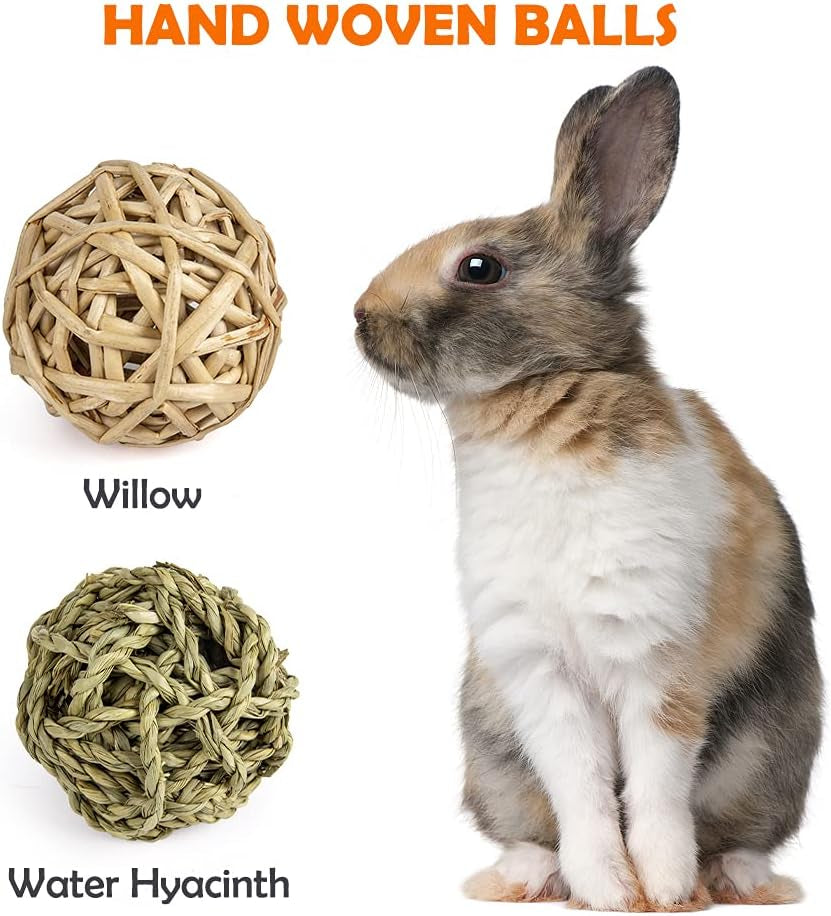 Rabbit Toys Bunny/Guinea Pig Toys Natural Timothy Hay Hamster Toys for Teeth Handmade Chews and Treats Apple Wood Sticks Chinchilla Rat - BIG FRENCHIES