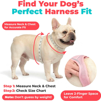 Dog Vest Harness Moss Green Medium
