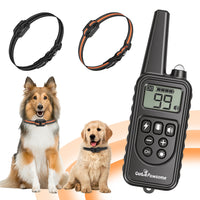 Dog Training Collar With Remote