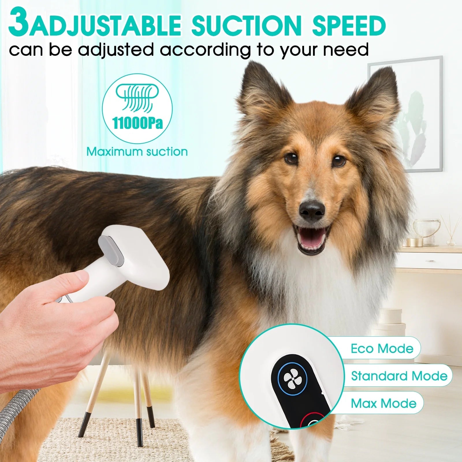 5 in 1 Pet Grooming Kit & Vacuum - BIG FRENCHIES