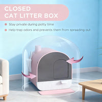 Pink Cat Litter Box With Lid With Scoop And Filter