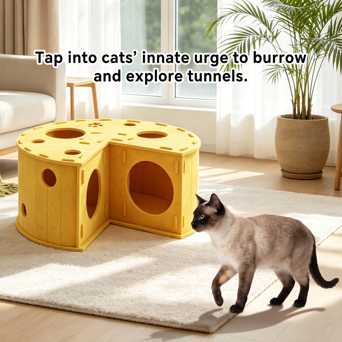 Cakes Cat Bed 60x30x60