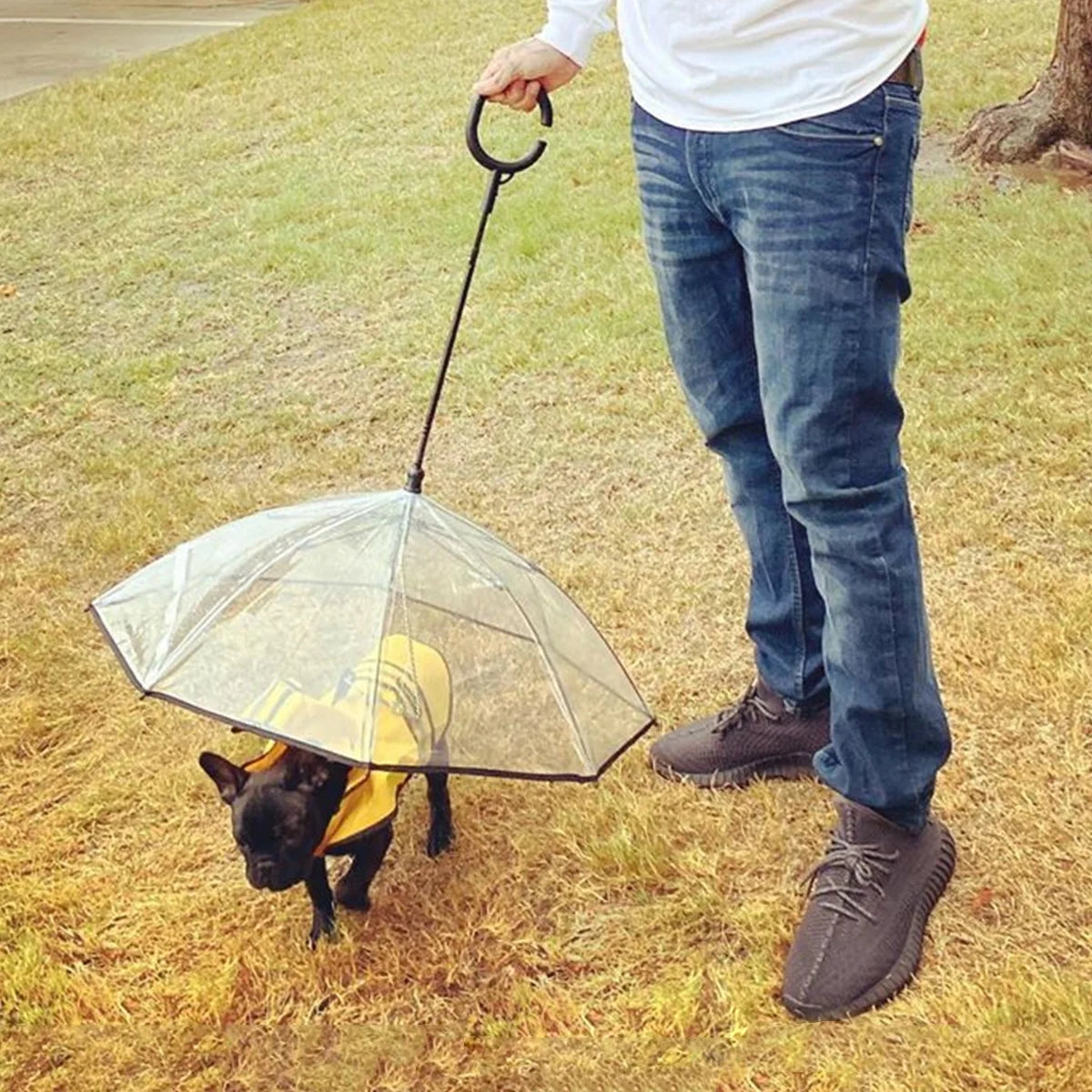 Flexible Handle Umbrella for Dog with Rope for Small Pets - BIG FRENCHIES