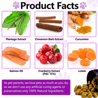 OEM Hot Sales Probiotics Chews For Pets Customized Shape For Digestive Health Pets Supplement Healthy Gut For Dogs