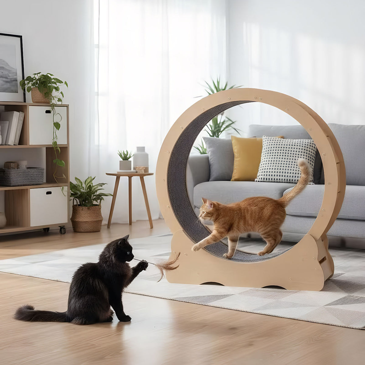 Cat Wheel, Large Cat Treadmill for Indoor Pets, Cats Exercise Running Wheel with Detachable Carpet, Quiet and Sturdy, Su