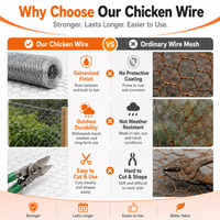 Anti-corrosion Hot-dip Galvanized Wire MeshPremium Chicken Wire Hexagonal Galvanized Mesh, Suitable For Chicken Coops, R