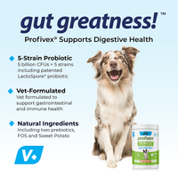OEM Hot Sales Probiotics Chews For Pets Customized Shape For Digestive Health Pets Supplement Healthy Gut For Dogs