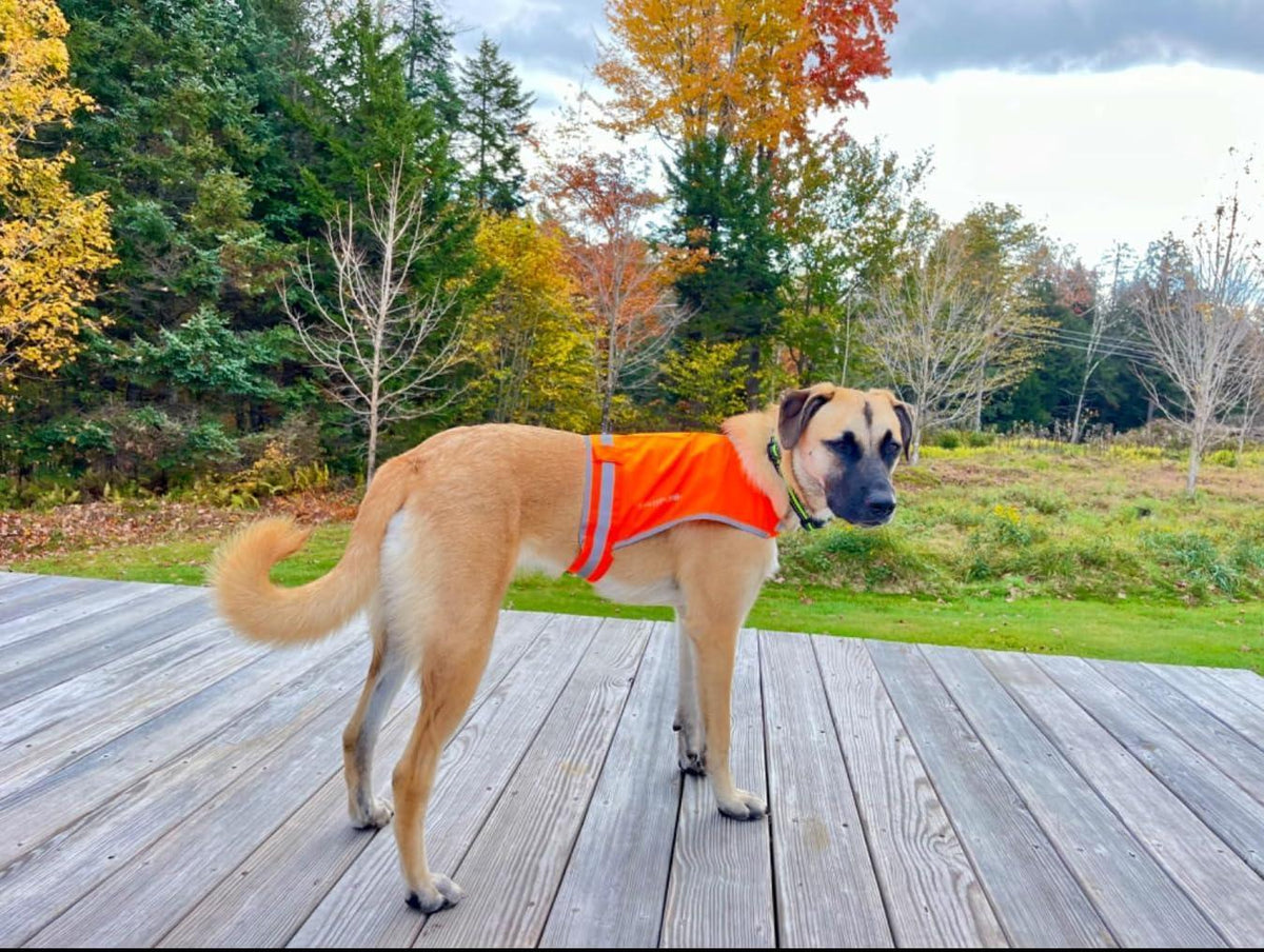 Lightweight Dog Vest L Size Mid-Back Coverage 36.75 in Chest x 26 in Neck Orange