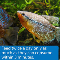 TROPICAL PELLETS Sinking Pellets Fish Food 4.2-Ounce Container, Medium (823B) - BIG FRENCHIES