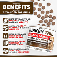 Turkey Tail Mushroom for Dogs Multivitamin Supplement Immune Support
