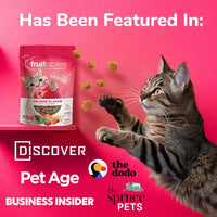 Cat Crunchy Treats made with salmon - BIG FRENCHIES
