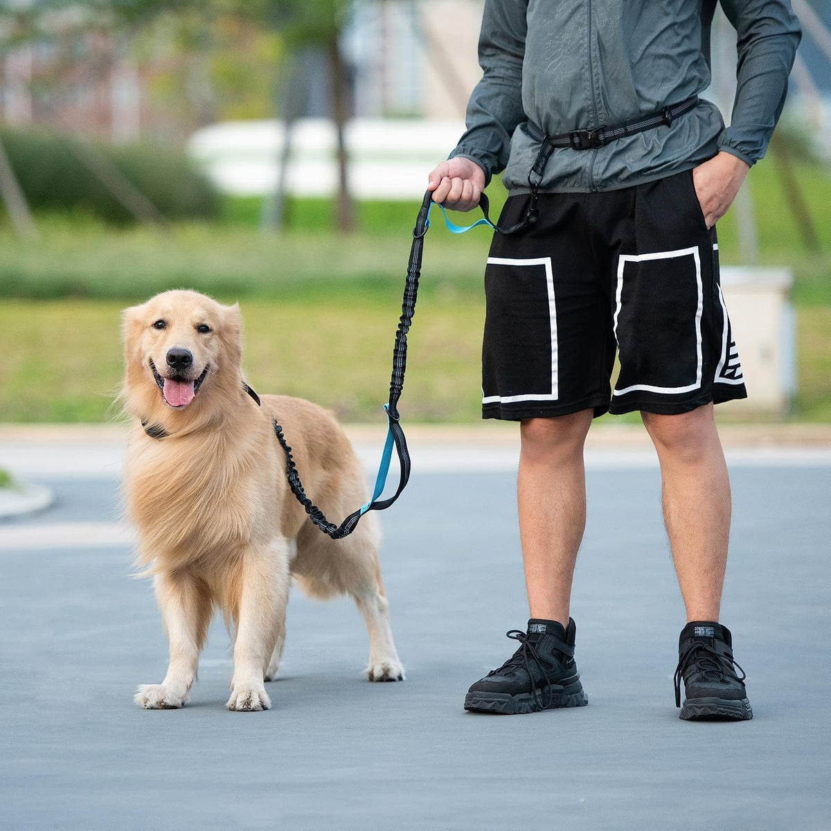 Hands Free Dog Leash with Zipper Pouch - Black / Large - image 4