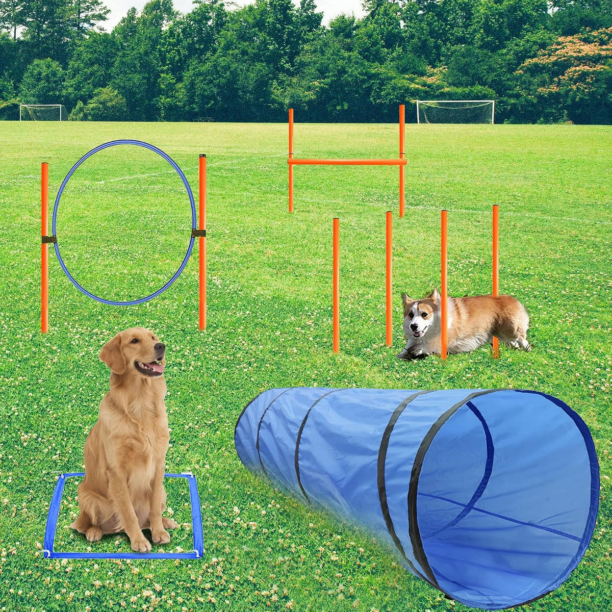 GeerDuo dog agility training equipment kit with tunnel, weave poles, jump ring and bag