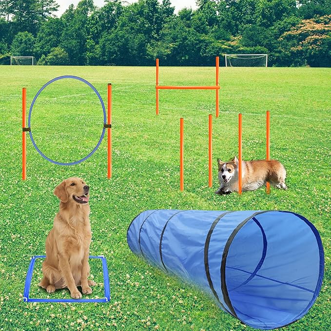 Dog Agility Training Equipment, Obstacle Agility Training Starter Kit for Doggie, Including Tunnel, 13 Weave Poles, Adjustable Hurdle, Jump Ring, Pause Box and Carrying Bag(Blue)