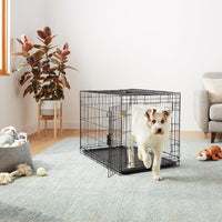 Amazon Basics Portable, Foldable Metal Wire Small Dog Crate with Removable Tray, Divider Panel - 36 x 23 x 25 in / Single Door w/ Divider - image 4