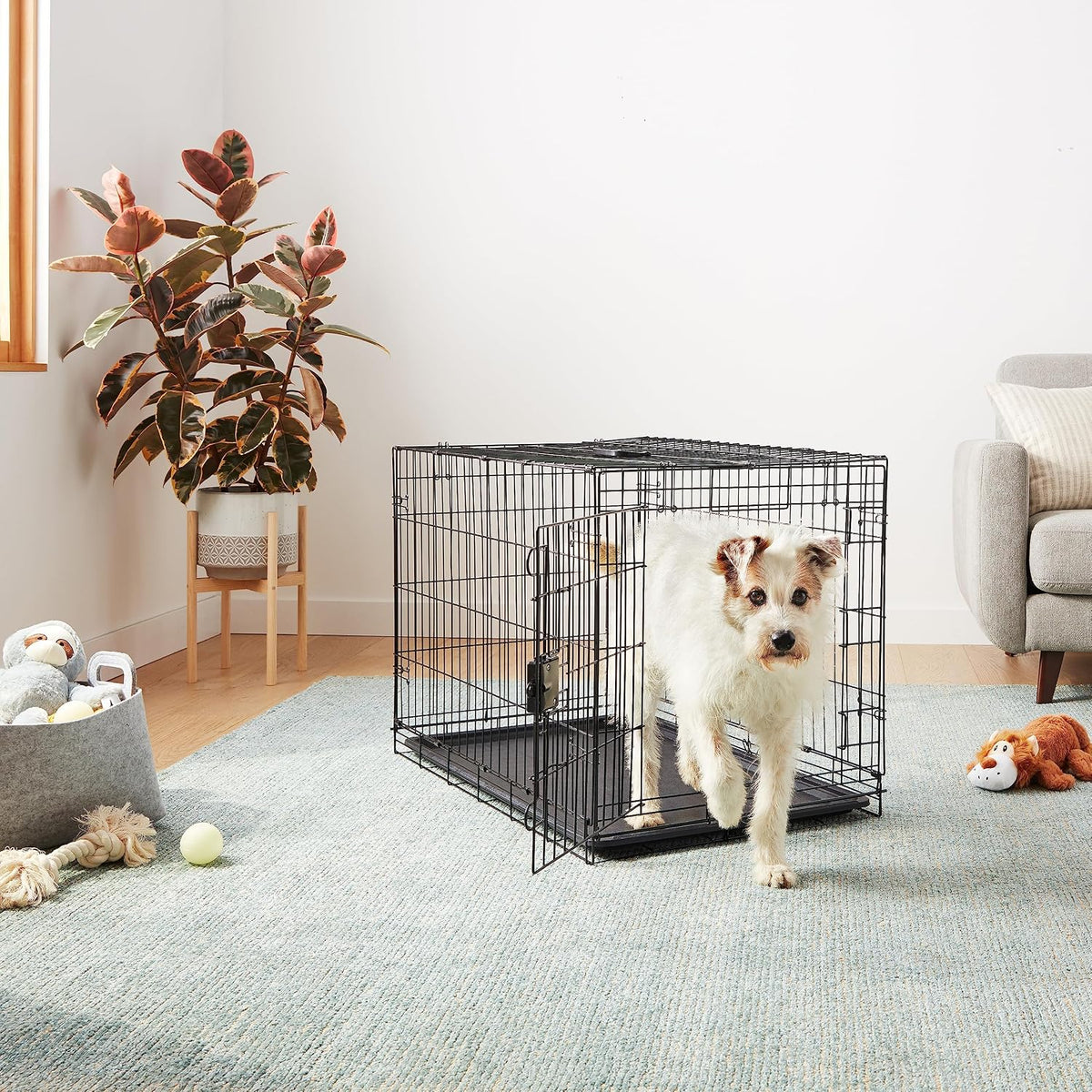 Amazon Basics Portable, Foldable Metal Wire Small Dog Crate with Removable Tray, Divider Panel - 36 x 23 x 25 in / Single Door w/ Divider - image 4