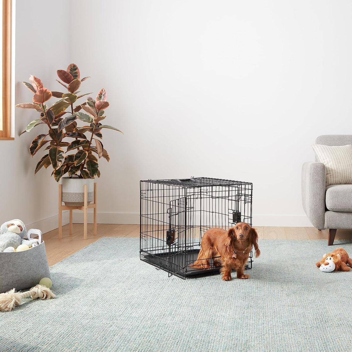 Amazon Basics Portable, Foldable Metal Wire Small Dog Crate with Removable Tray, Divider Panel - 24.0"L x 18.0"W x 20.0"H / Double Door w/ Divider - image 4