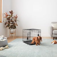 Amazon Basics Durable,Foldable Metal Wire Dog Crate with Tray, Double Door, Divider, 24 x 18 x 20 in, Black