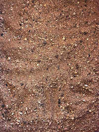 Australian Desert Dragon Habitat 20lb Substrate for Bearded Dragons and Other Lizards, Red (DESERT020)