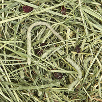 Kaytee All Natural Timothy Hay Plus Cranberries For Guinea Pigs, Rabbits & Other Small Animals, 24 Ounce