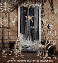 Crazy Bonez Cute Skeleton Cat – Essentials for Cats - image 4