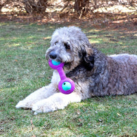 Chew King Fetch Balls Extremely Durable Natural Rubber Toy 2.5 inch - Throw Stick - 2 Balls - image 4