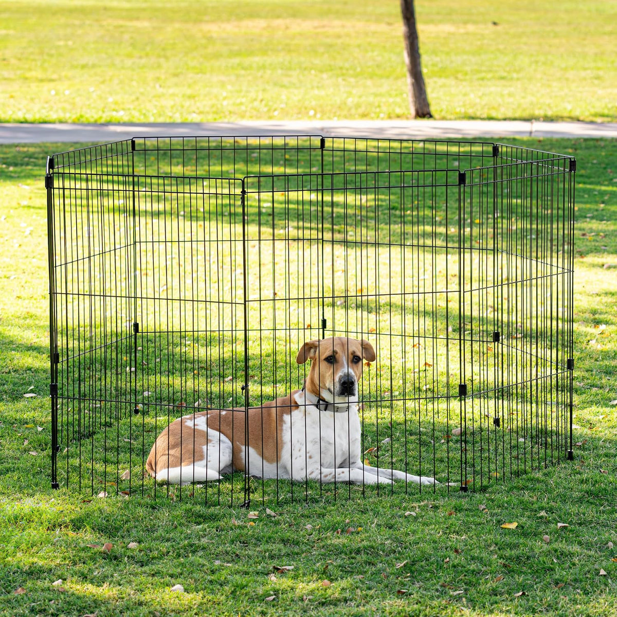 IRIS USA 8-Panel Exercise Pen, Heavy Duty - 36"H / Black - image 4